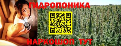 apvp Тулун