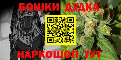 apvp Тулун